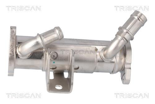 Radiateur, réaspiration des gaz d'échappement Triscan A/S 8813 17101