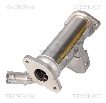 Radiateur, réaspiration des gaz d'échappement Triscan A/S 8813 17101
