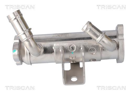 Radiateur, réaspiration des gaz d'échappement Triscan A/S 8813 17102