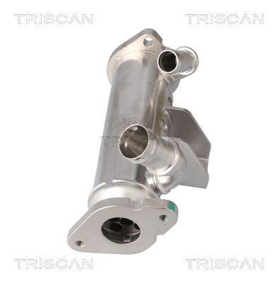 Radiateur, réaspiration des gaz d'échappement Triscan A/S 8813 17102