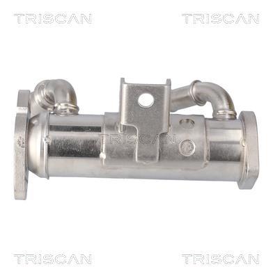Radiateur, réaspiration des gaz d'échappement Triscan A/S 8813 17102