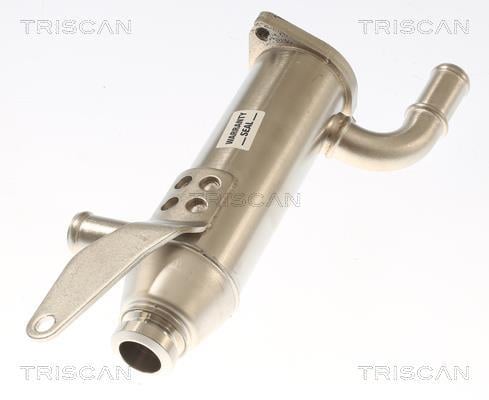 Radiador válvula egr Triscan A/S ref. 8813 17103