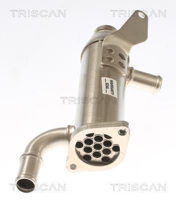 Radiador válvula egr Triscan A/S ref. 8813 17103