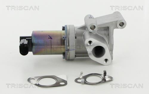 Válvula EGR Triscan A/S ref. 8813 18038