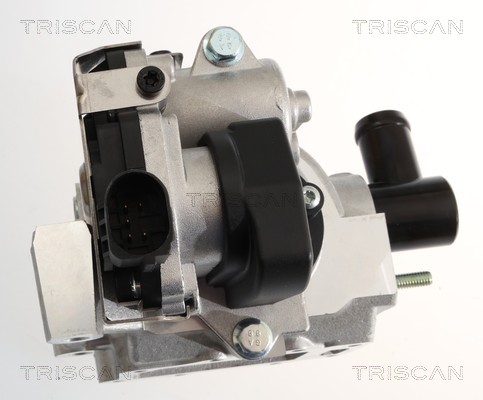 Vanne EGR Triscan A/S ref. 8813 18046