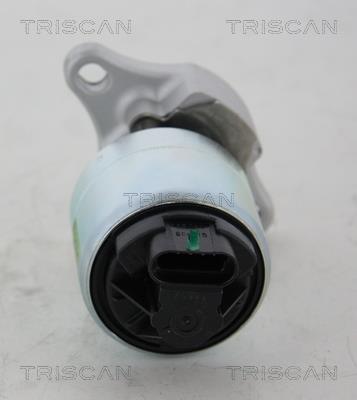 Vanne EGR Triscan A/S 8813 21001
