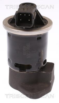 Vanne EGR Triscan A/S 8813 21004