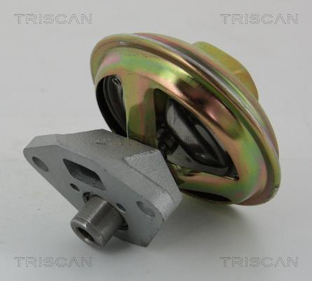 Vanne EGR Triscan A/S 8813 21007