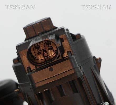 Vanne EGR Triscan A/S ref. 8813 21010