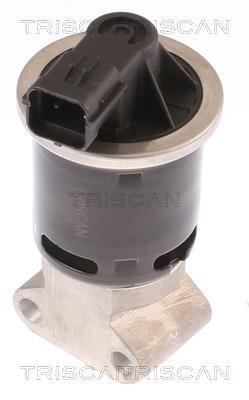 Vanne EGR Triscan A/S 8813 21100