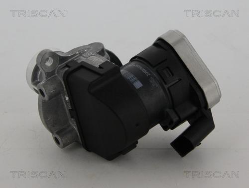 Vanne EGR Triscan A/S 8813 23004