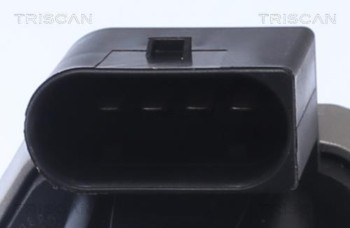 Vanne EGR Triscan A/S 8813 23019