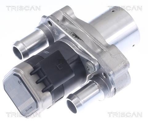 Vanne EGR Triscan A/S 8813 23019