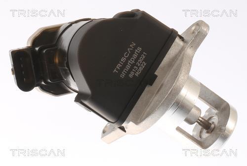 Vanne EGR Triscan A/S 8813 23021