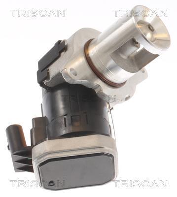 Vanne EGR Triscan A/S 8813 23021