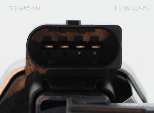 Vanne EGR Triscan A/S 8813 23025