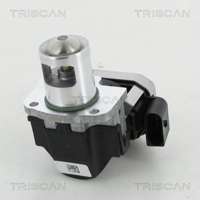 Válvula EGR Triscan A/S ref. 8813 23026