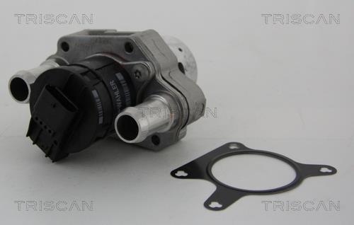 Vanne EGR Triscan A/S 8813 23031