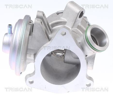 Válvula EGR Triscan A/S ref. 8813 23032