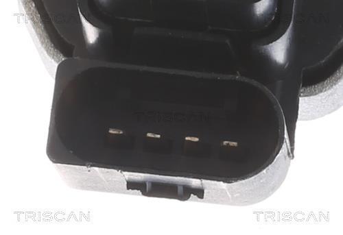 Vanne EGR Triscan A/S 8813 23036