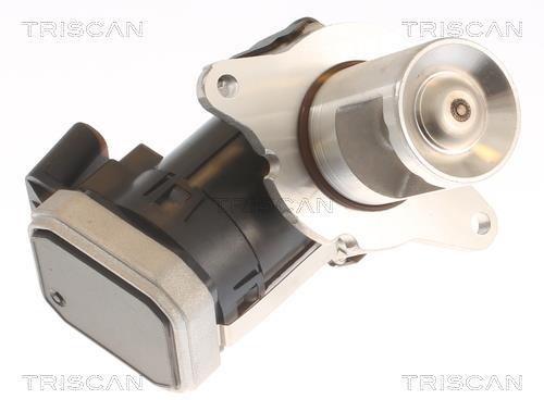 Vanne EGR Triscan A/S 8813 23036