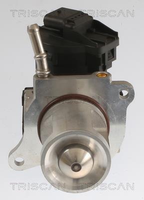 Vanne EGR Triscan A/S 8813 23040