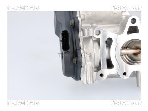 Vanne EGR Triscan A/S 8813 23041