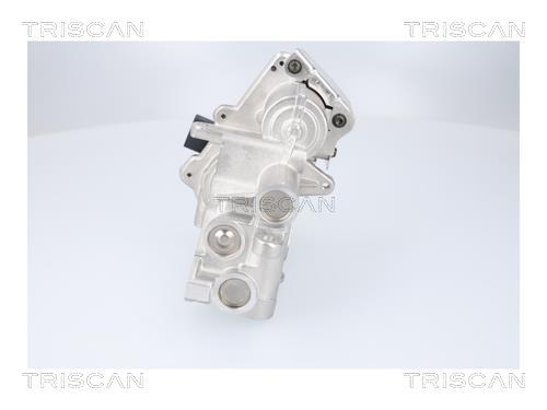 Vanne EGR Triscan A/S 8813 23041