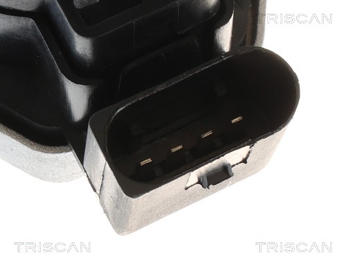 Vanne EGR Triscan A/S 8813 23045