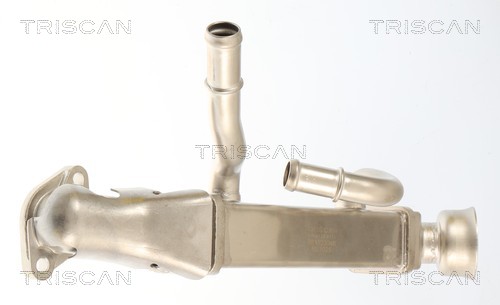 Radiador válvula egr Triscan A/S 8813 23046