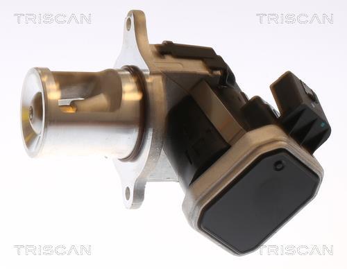 Válvula EGR Triscan A/S ref. 8813 23101