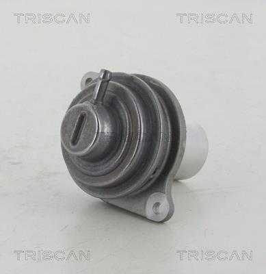Vanne EGR Triscan A/S 8813 23207