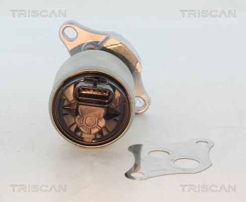 Vanne EGR Triscan A/S 8813 24004