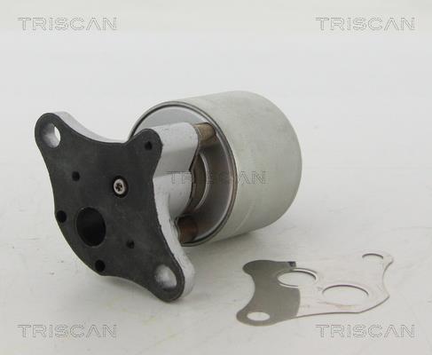 Vanne EGR Triscan A/S 8813 24004