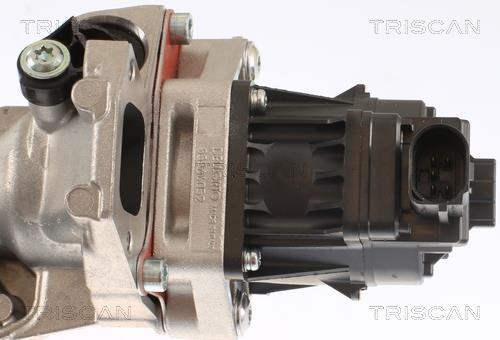 Vanne EGR Triscan A/S 8813 24007