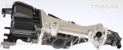 Vanne EGR Triscan A/S 8813 24007