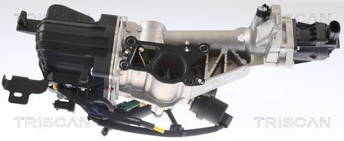 Vanne EGR Triscan A/S 8813 24007