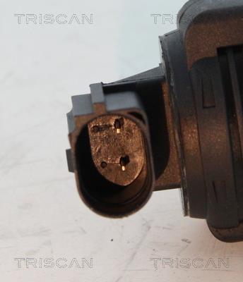 Vanne EGR Triscan A/S 8813 24012