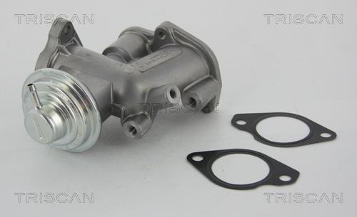Vanne EGR Triscan A/S 8813 24031