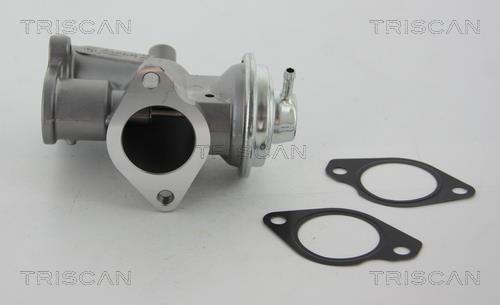 Vanne EGR Triscan A/S 8813 24031