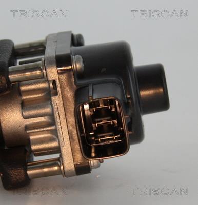 Vanne EGR Triscan A/S 8813 24033