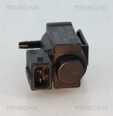 Vanne EGR Triscan A/S 8813 24034