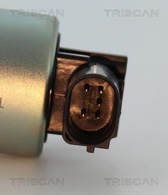 Válvula EGR Triscan A/S ref. 8813 24037