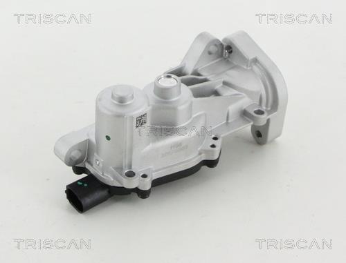 Vanne EGR Triscan A/S ref. 8813 24040