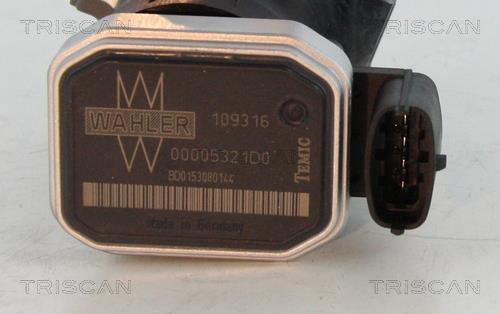 Vanne EGR Triscan A/S 8813 24046