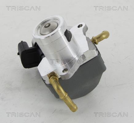 Vanne EGR Triscan A/S 8813 24046