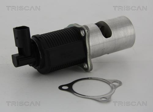 Vanne EGR Triscan A/S ref. 8813 24055
