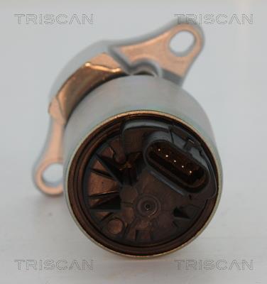 Vanne EGR Triscan A/S ref. 8813 24081