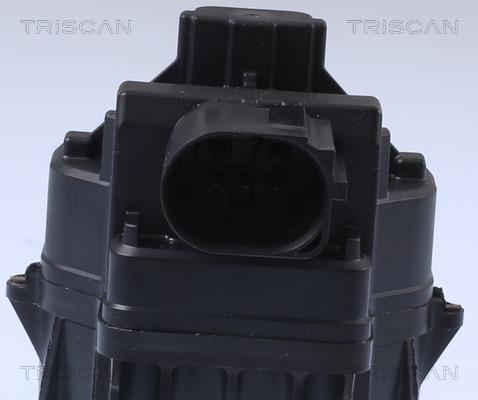 Vanne EGR Triscan A/S ref. 8813 24084