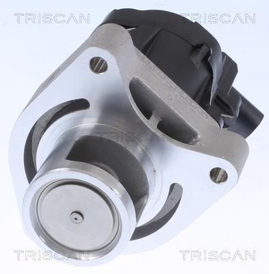 Vanne EGR Triscan A/S ref. 8813 24084